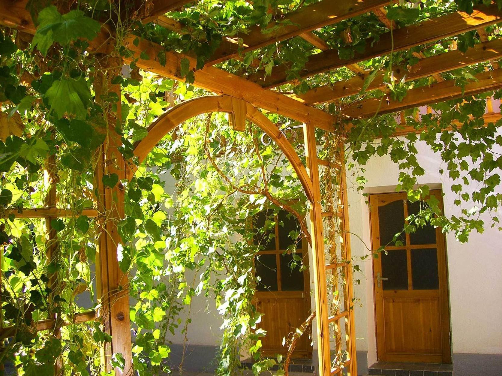 Bed and Breakfast Jahongir Samarkand Exteriér fotografie