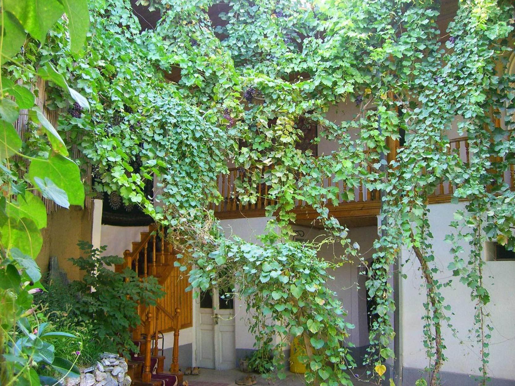 Bed and Breakfast Jahongir Samarkand Exteriér fotografie
