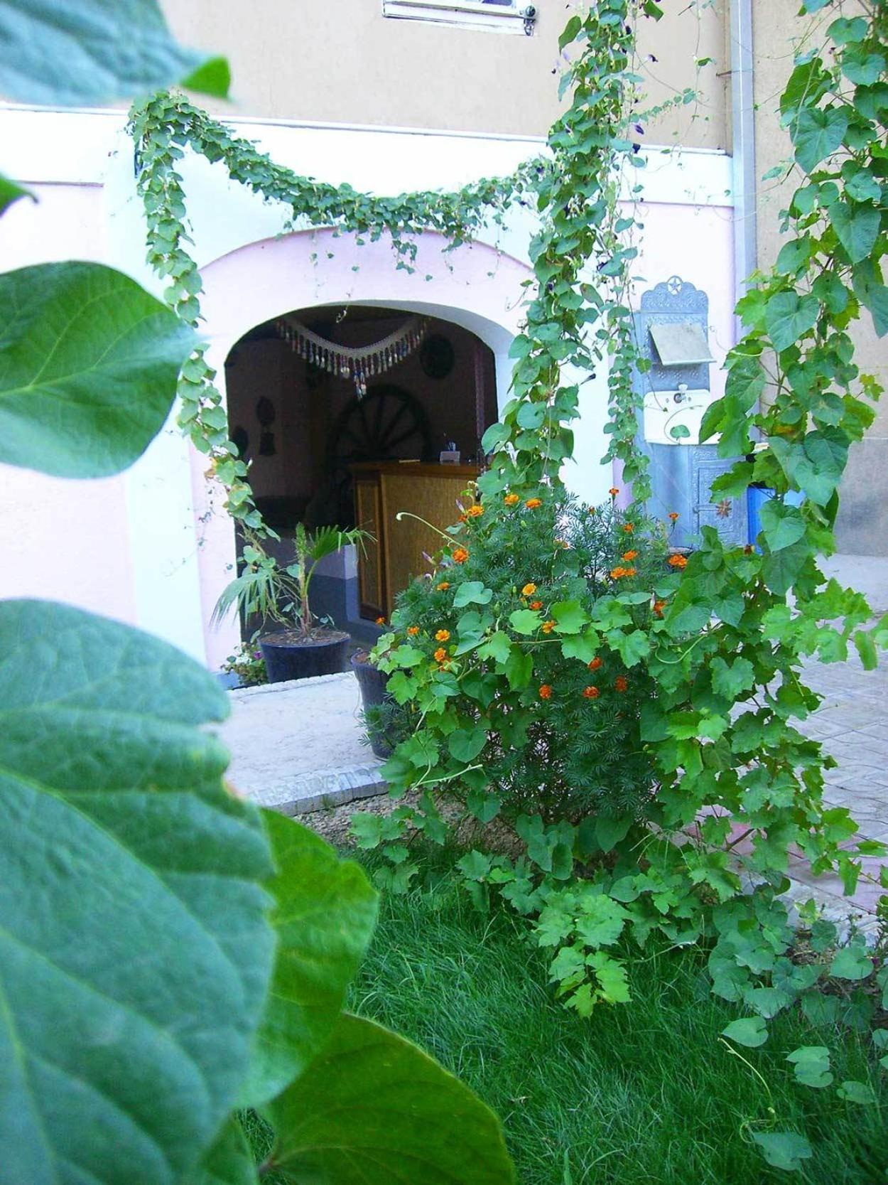 Bed and Breakfast Jahongir Samarkand Exteriér fotografie