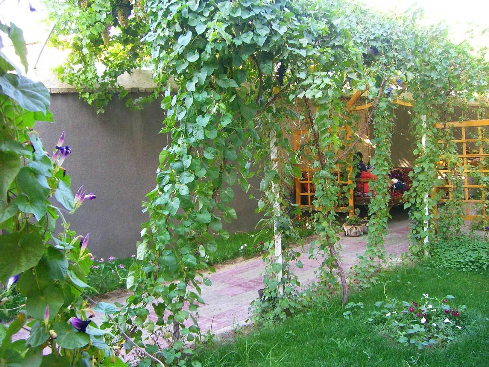 Bed and Breakfast Jahongir Samarkand Exteriér fotografie