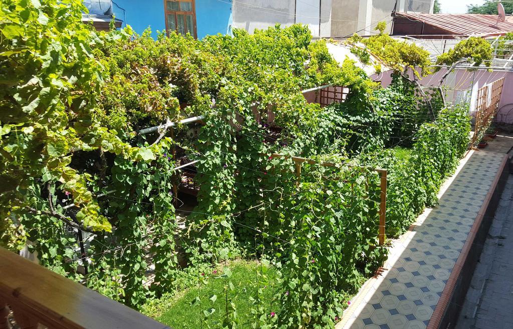 Bed and Breakfast Jahongir Samarkand Exteriér fotografie